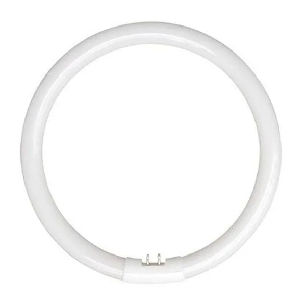 22W Fluorescent T5 Globe Cool White 4200K Lc22Wt5Eb