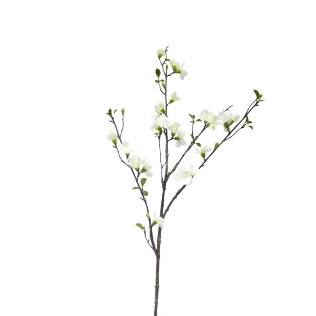 Apple Blossom Spray White