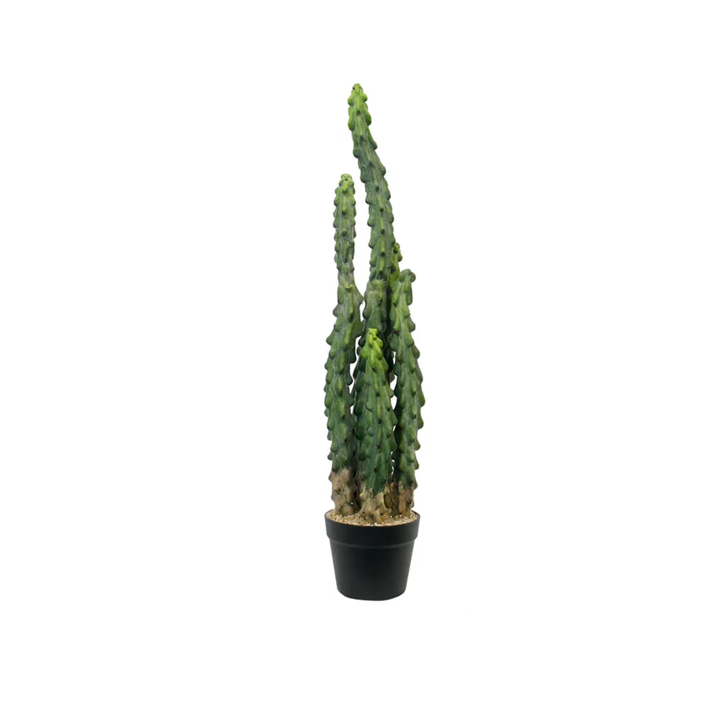 Cactus Potted 81cm