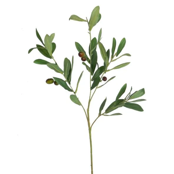 Corfu Olive Stem