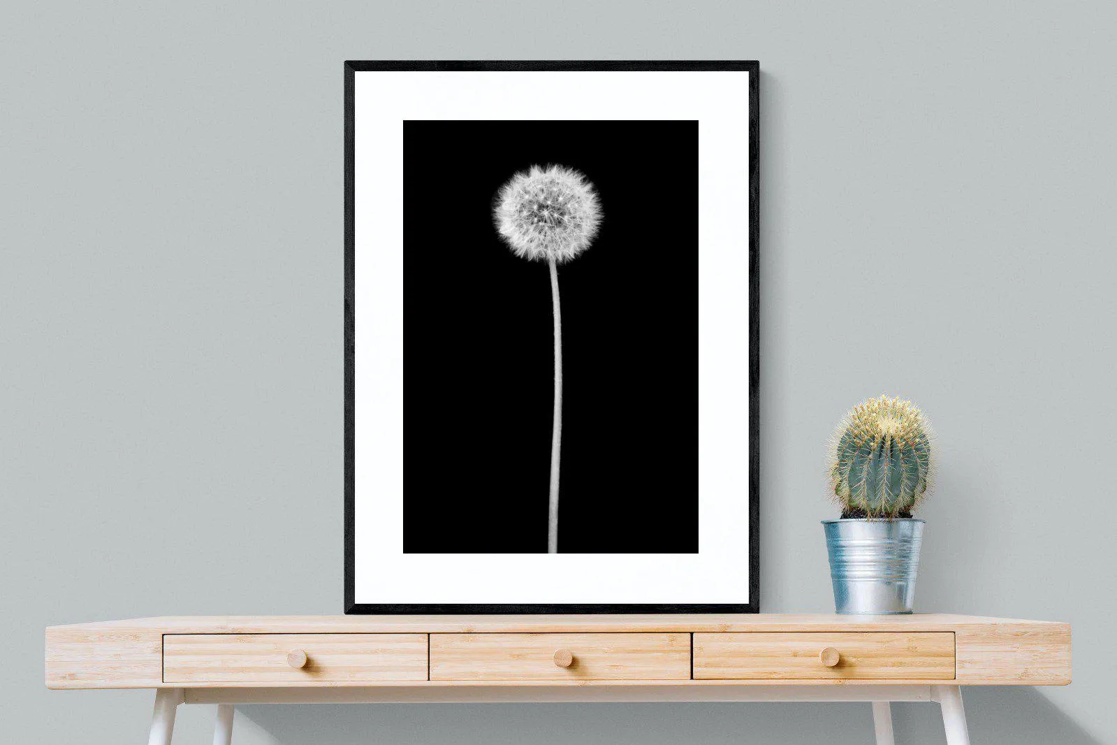 Dandelion Noir