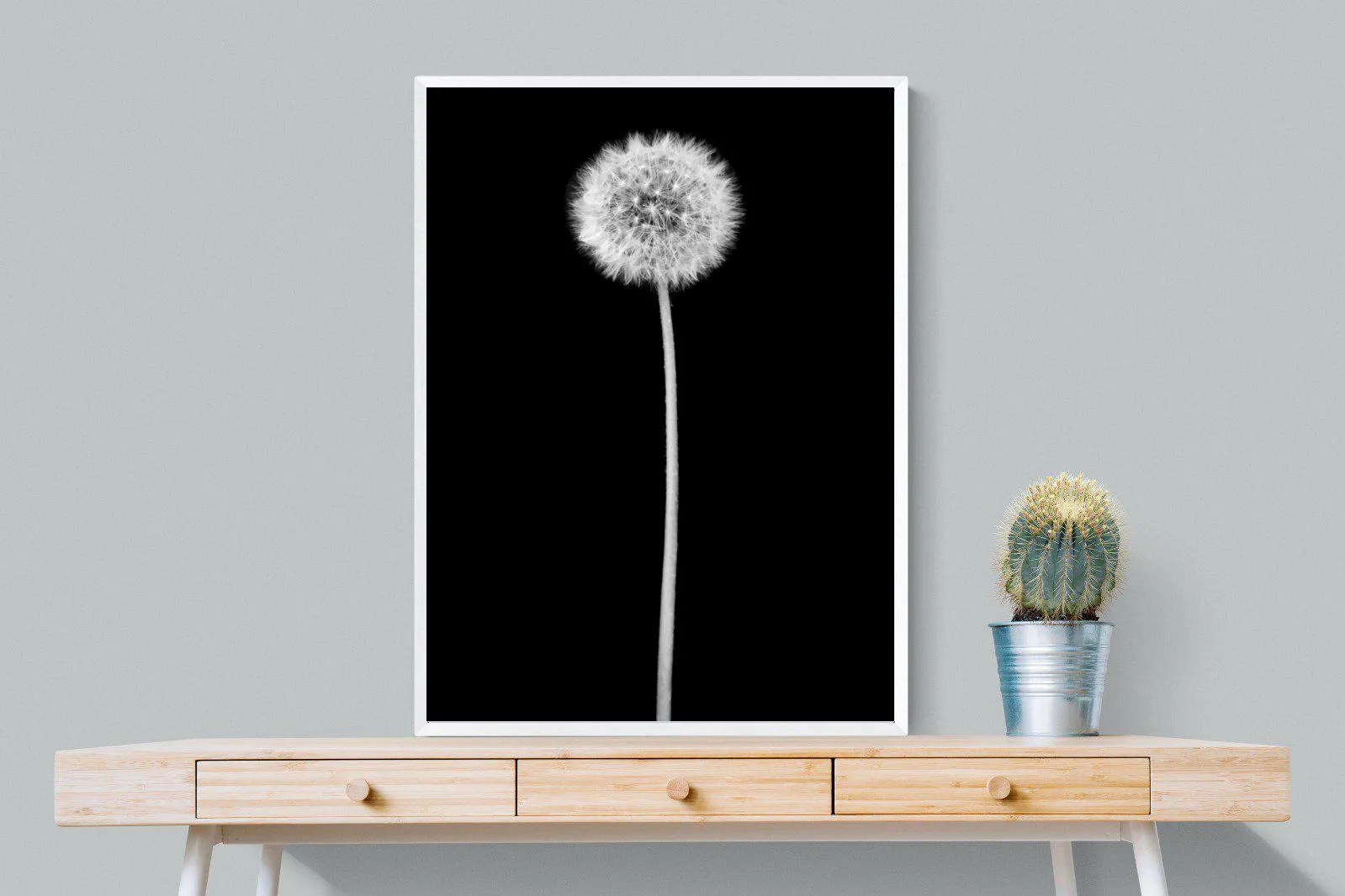 Dandelion Noir