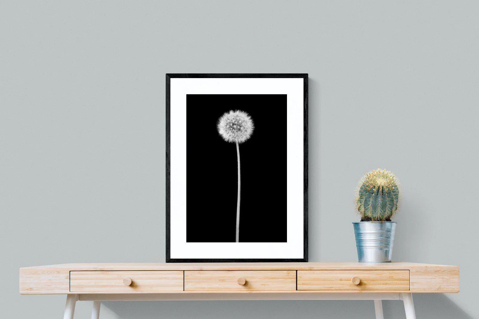 Dandelion Noir