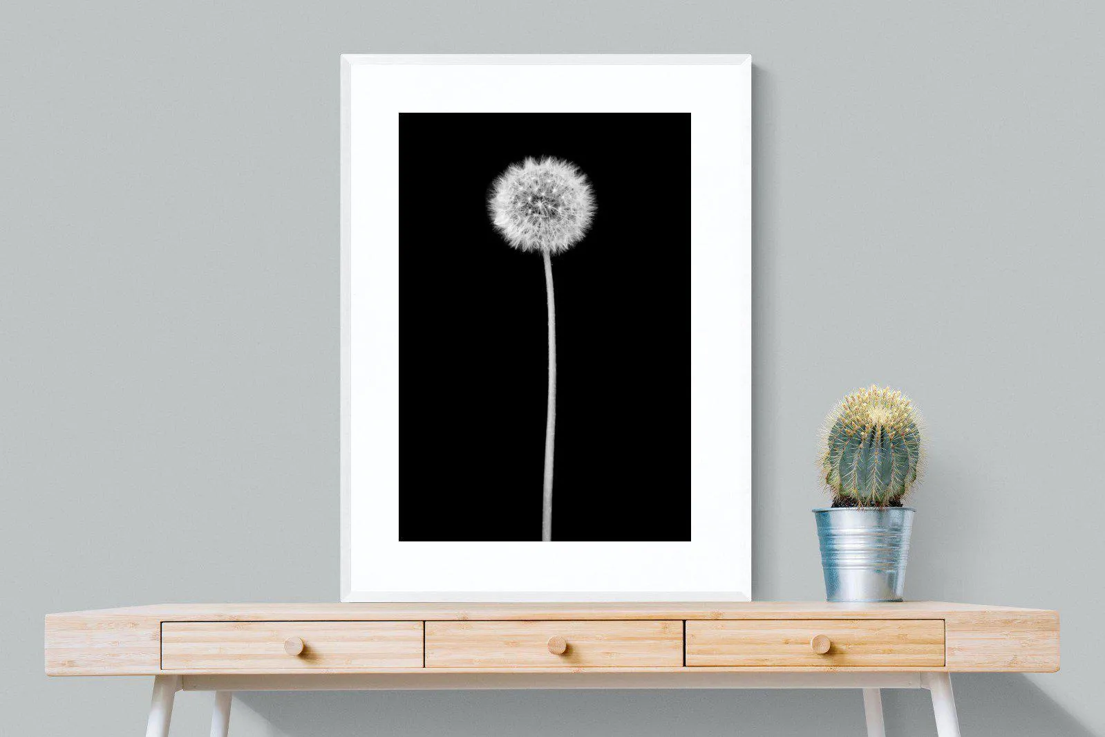 Dandelion Noir