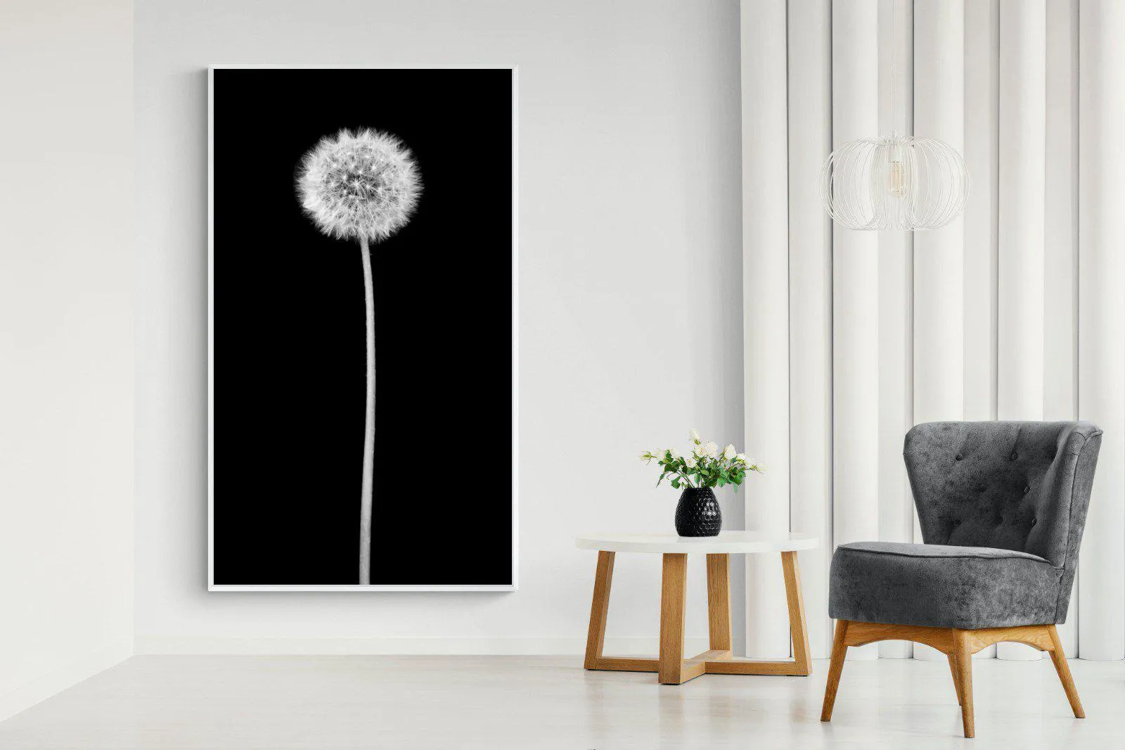 Dandelion Noir