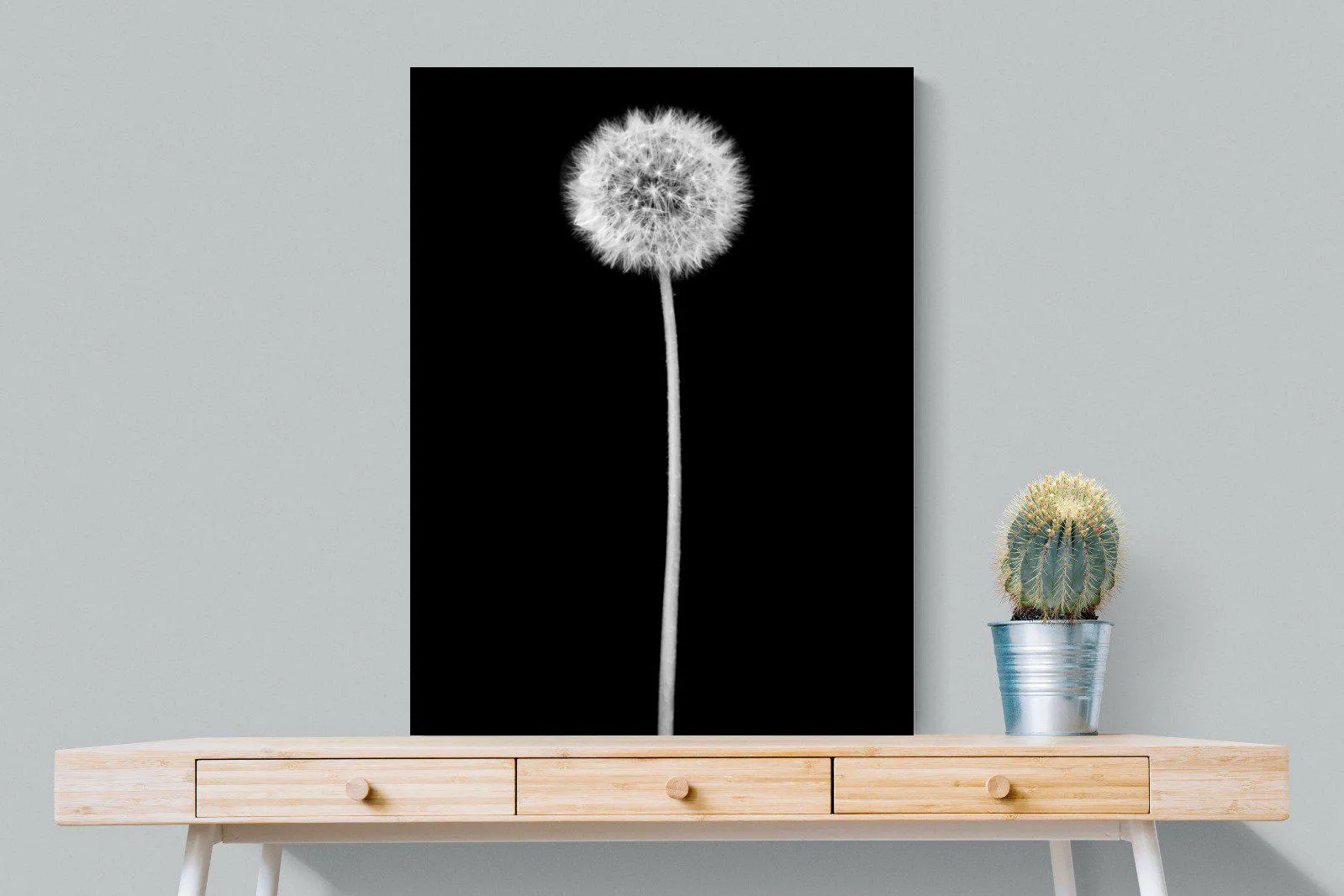 Dandelion Noir