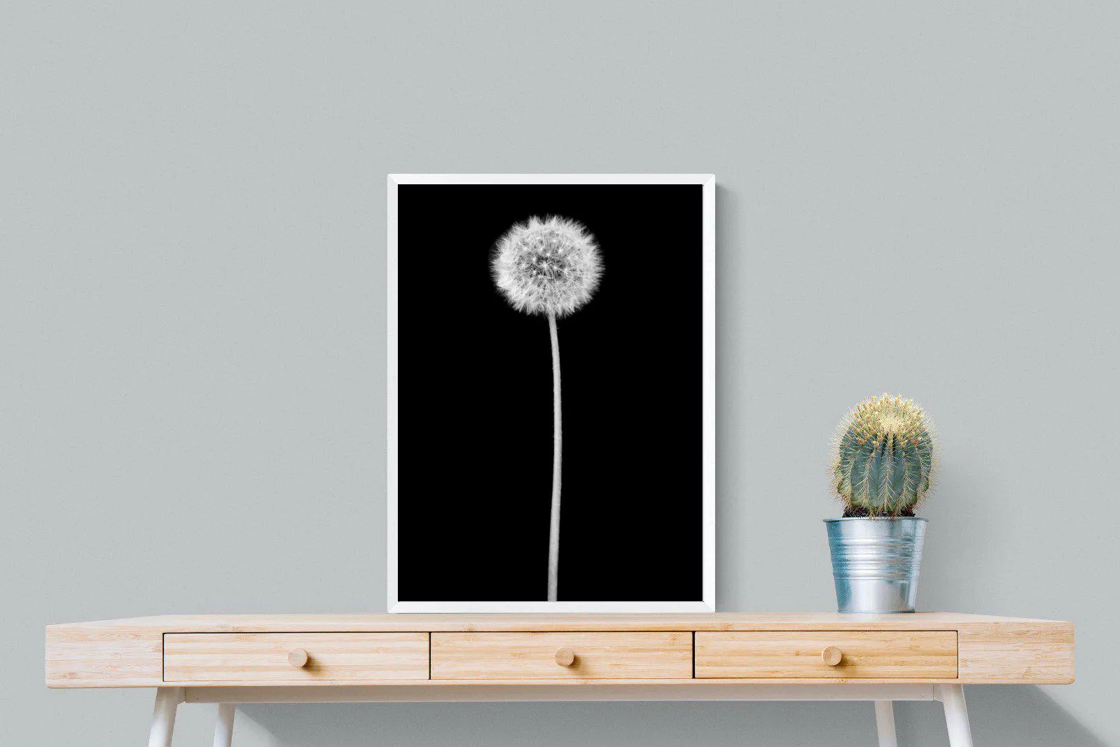 Dandelion Noir