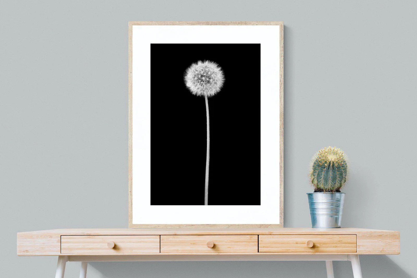 Dandelion Noir