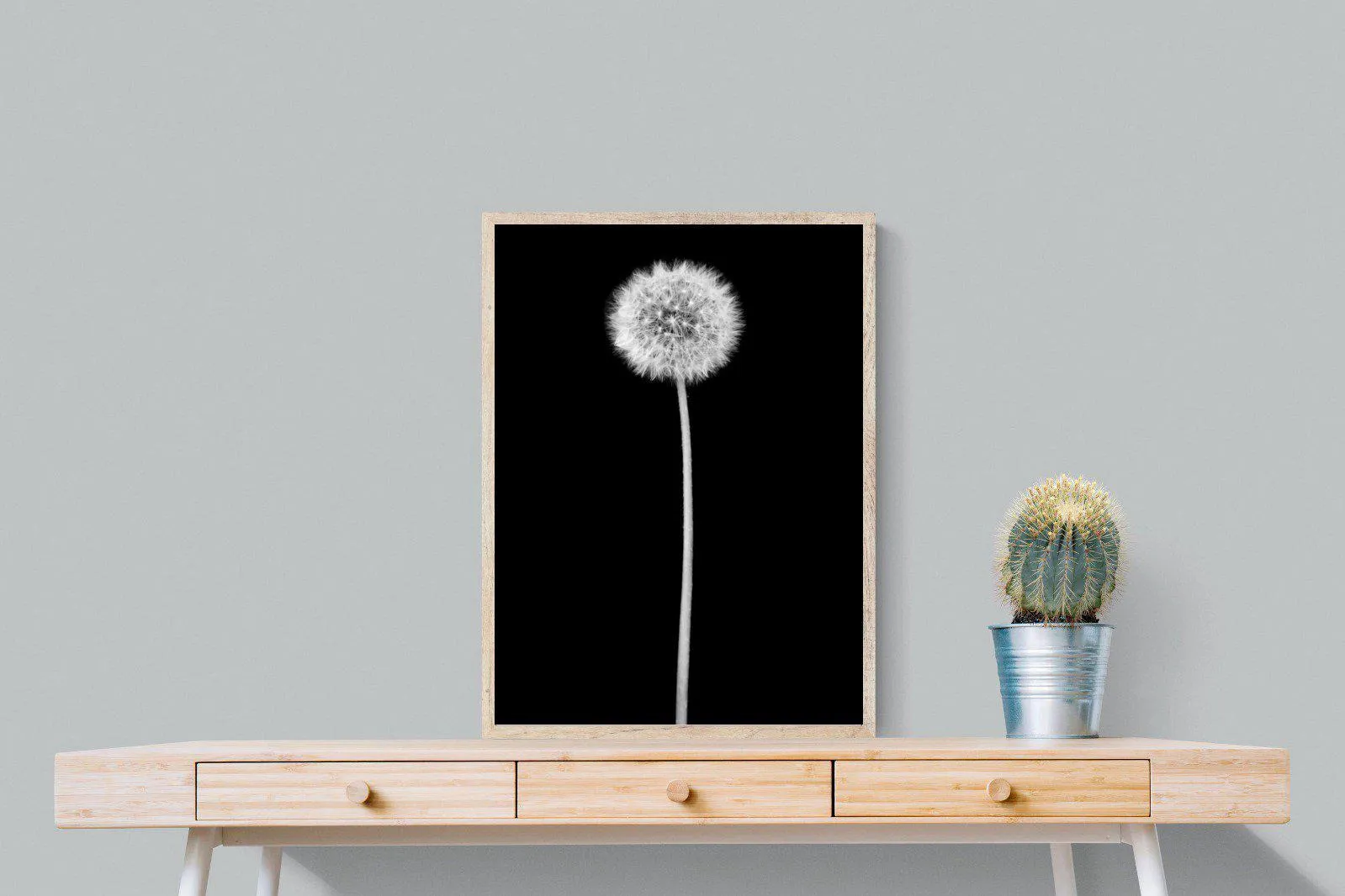 Dandelion Noir