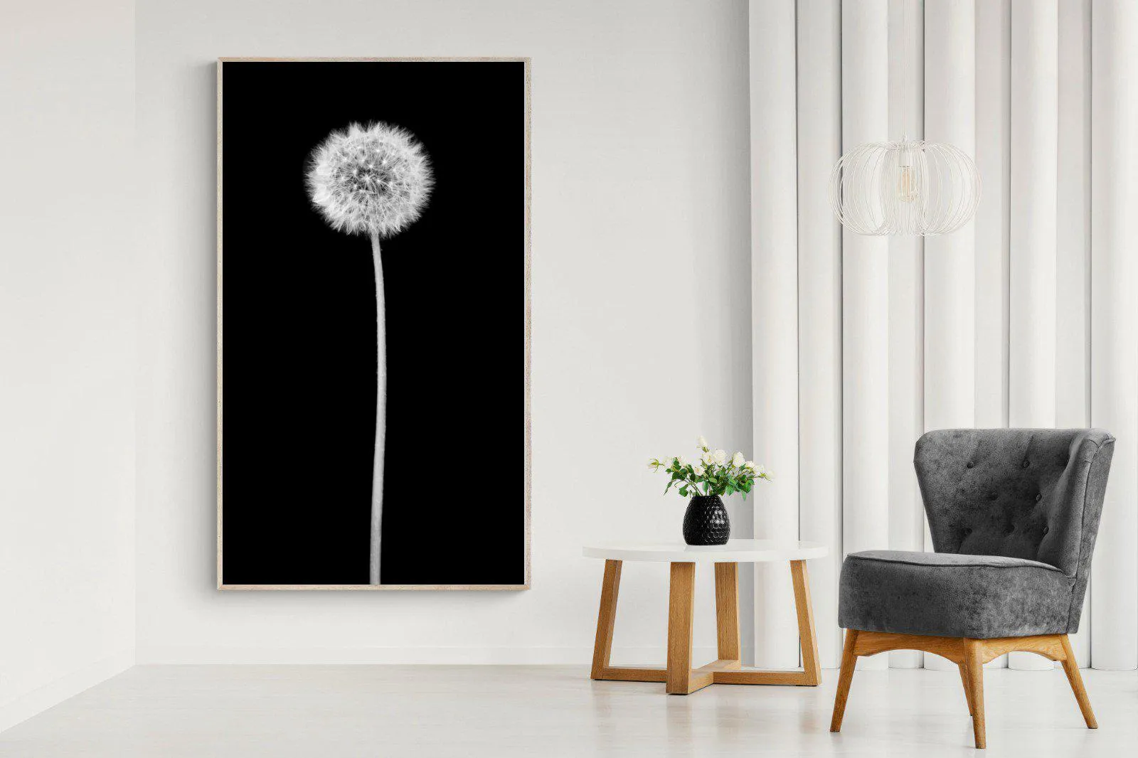 Dandelion Noir