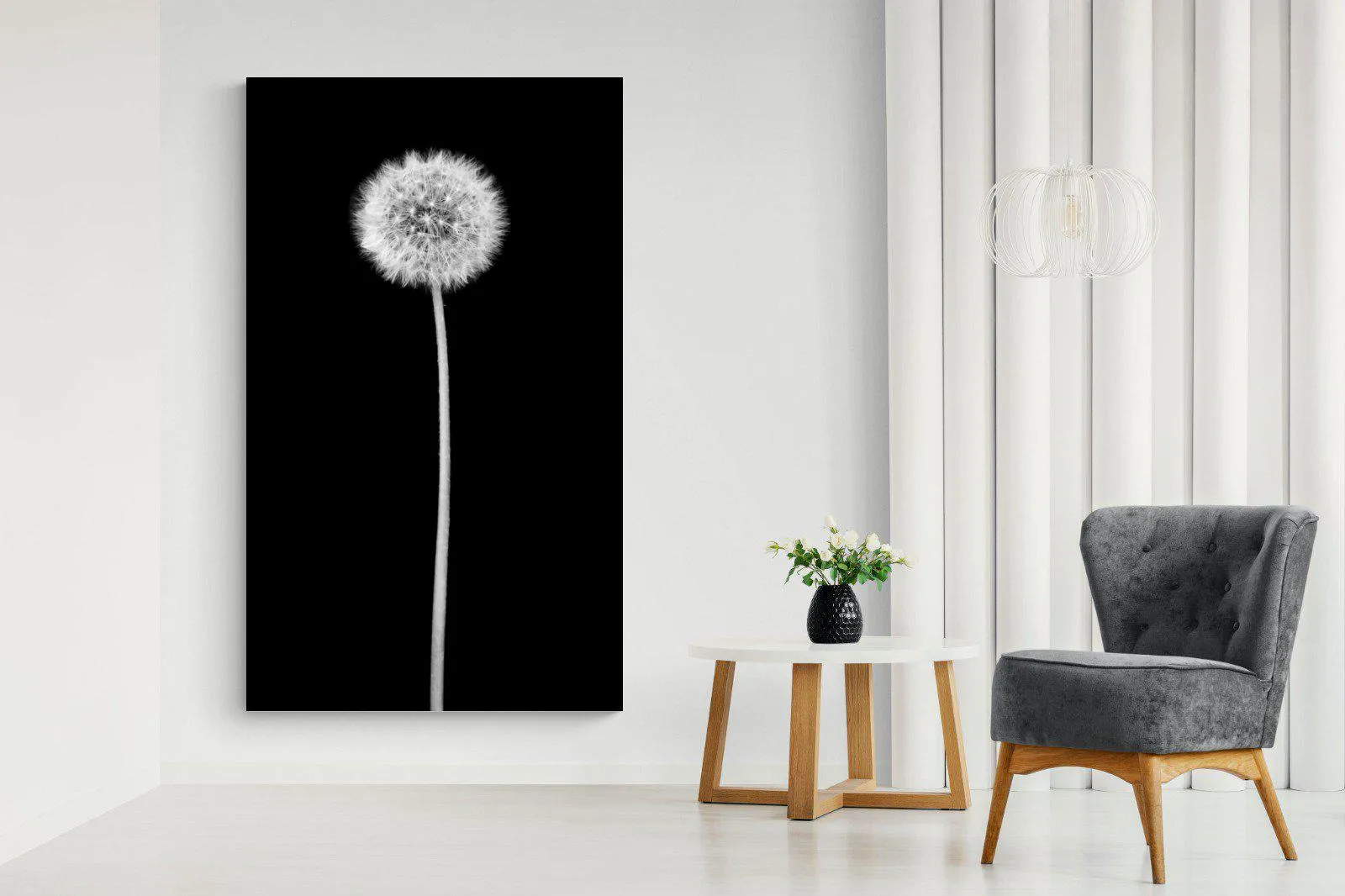 Dandelion Noir