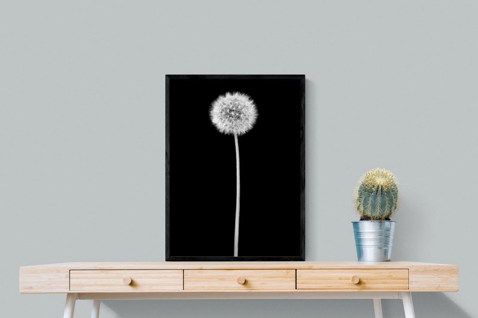 Dandelion Noir