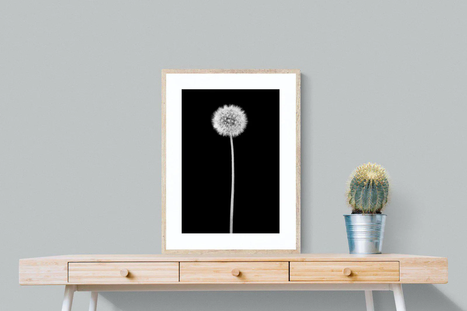 Dandelion Noir