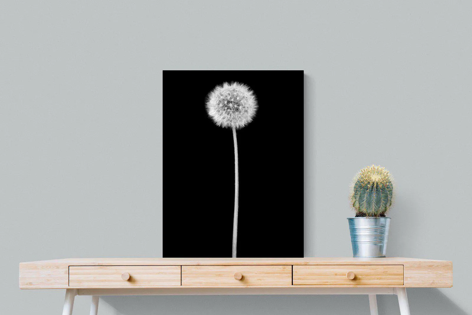 Dandelion Noir