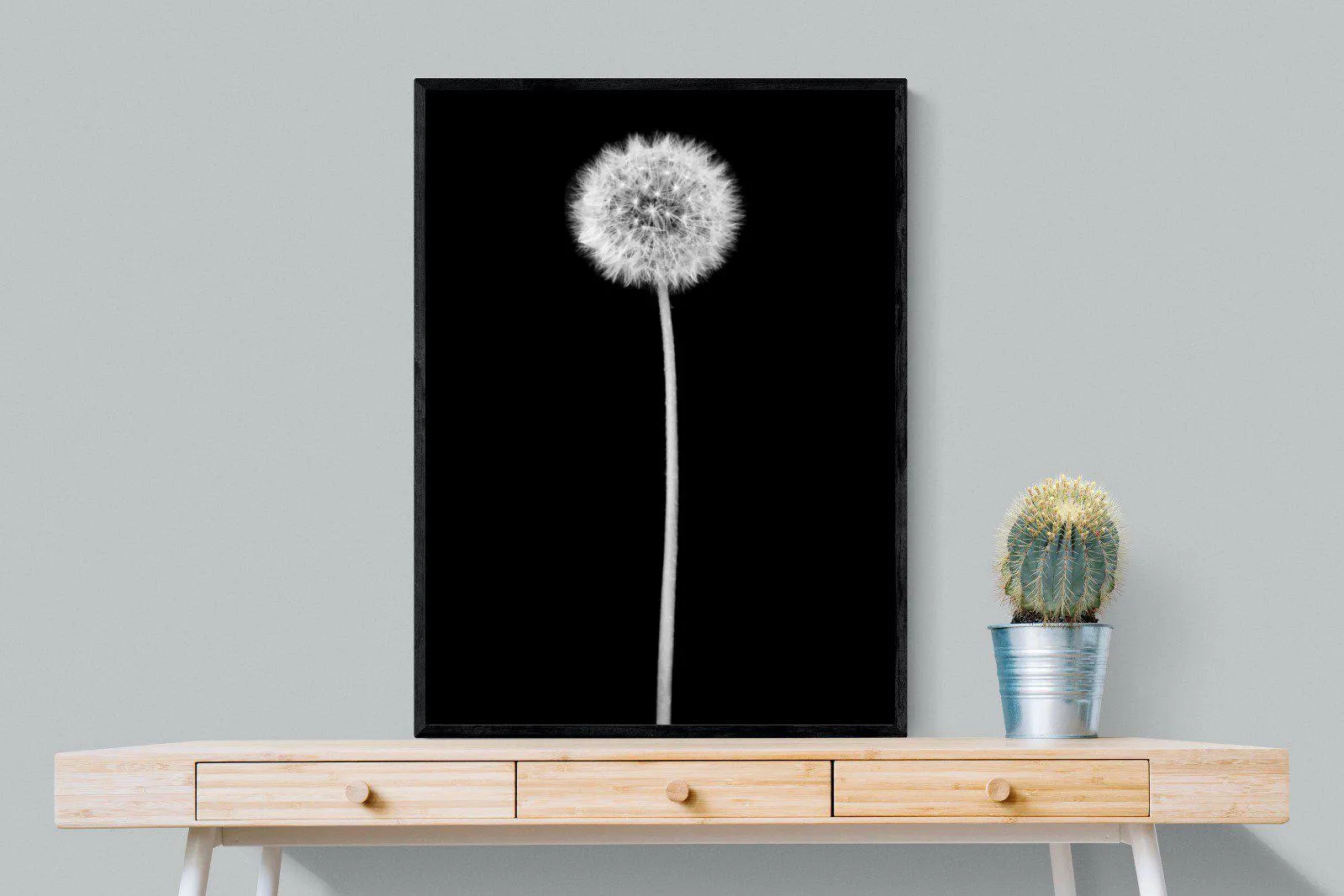 Dandelion Noir