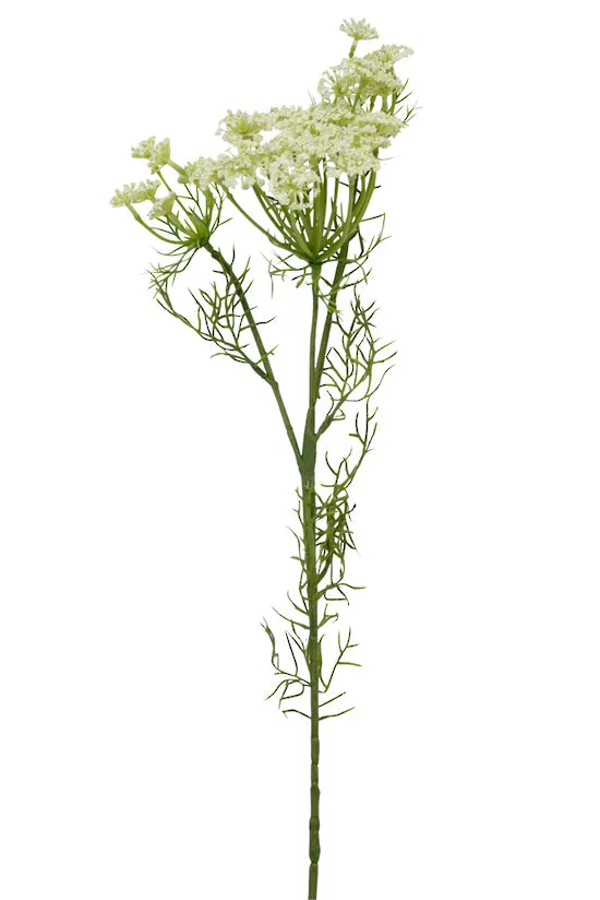 Dill Spray White