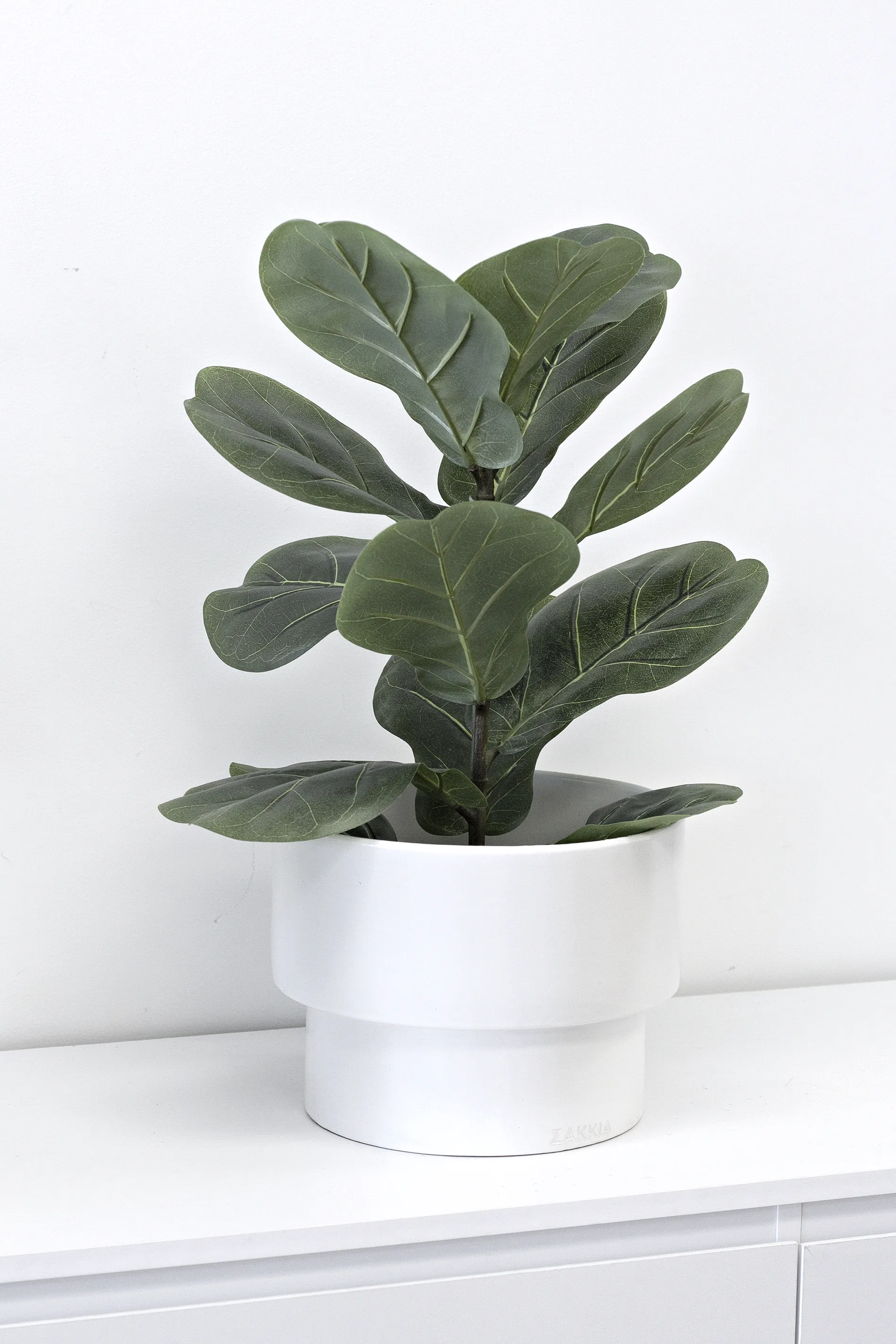 Fiddle Leaf Plant Potted 56cm