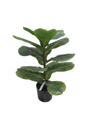 Fiddle Leaf Plant Potted 56cm