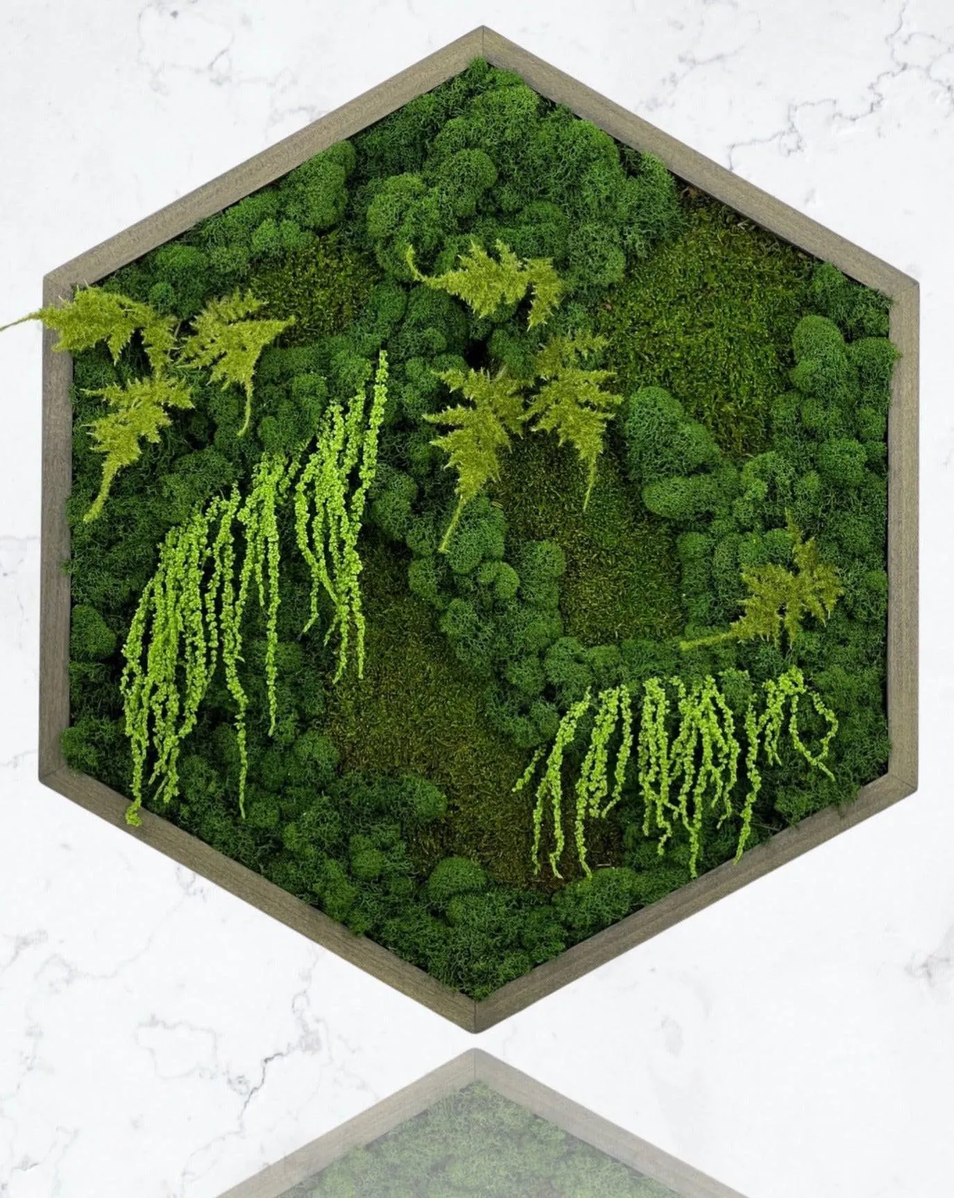 Floral Hexagon Moss Wall Art