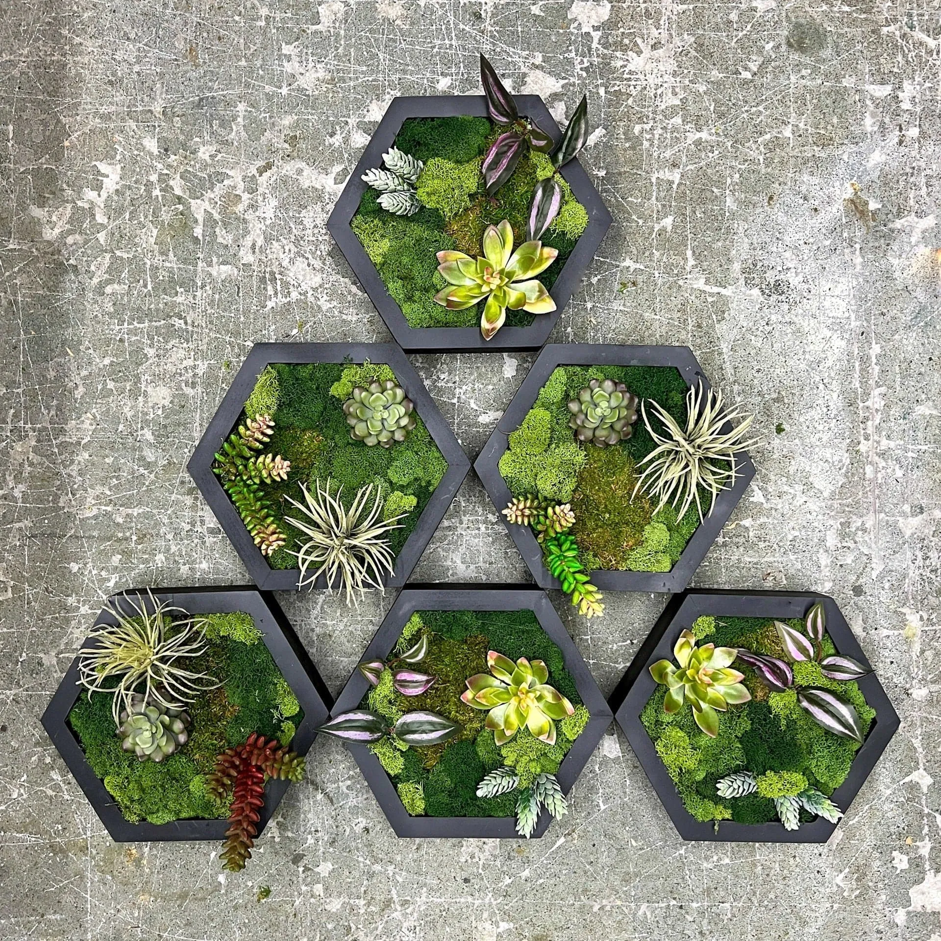 Floral Hexagon Moss Wall Art