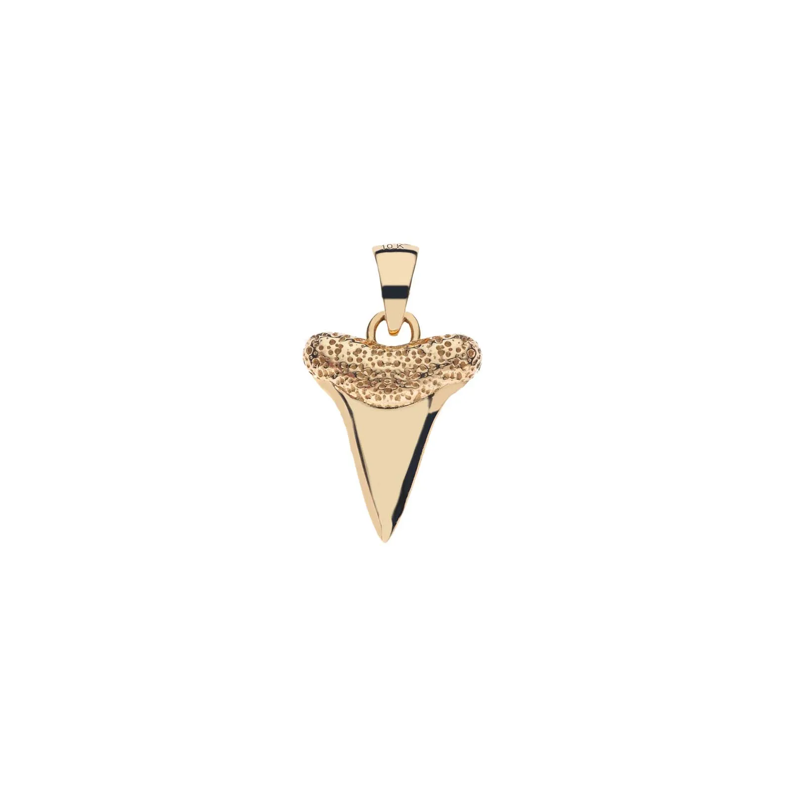 PROTECT Baby Shark Tooth Pendant in Solid Gold with Lapis