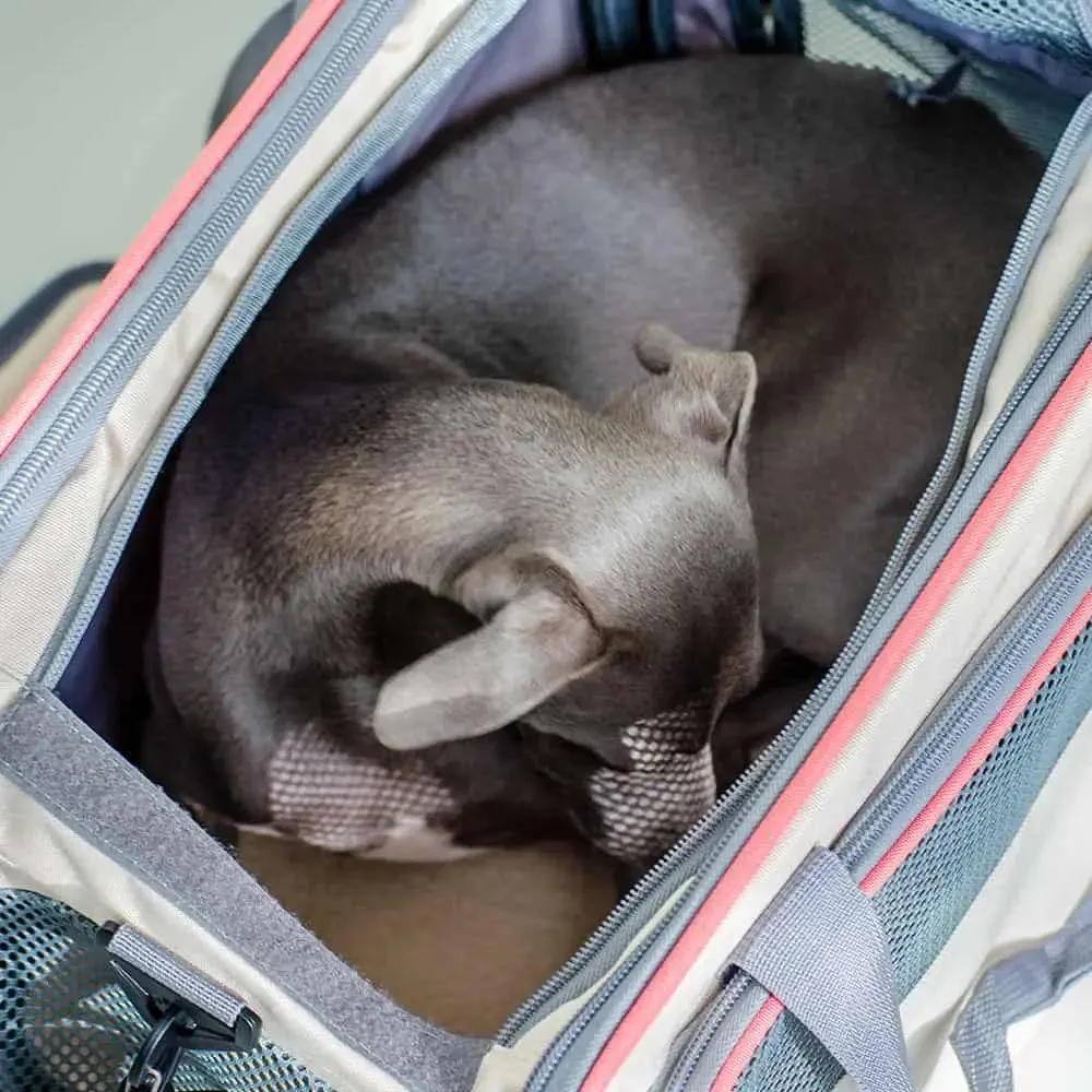 Transporttasche für Hunde "Travelbag business class"