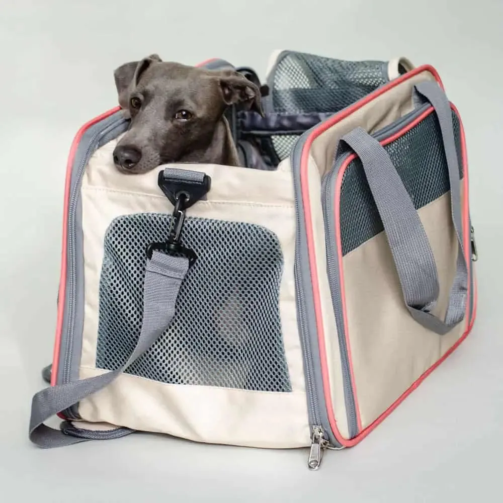 Transporttasche für Hunde "Travelbag business class"