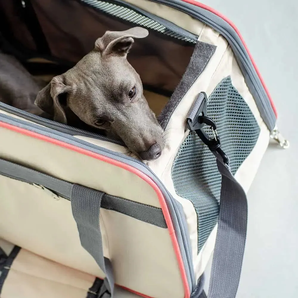 Transporttasche für Hunde "Travelbag business class"